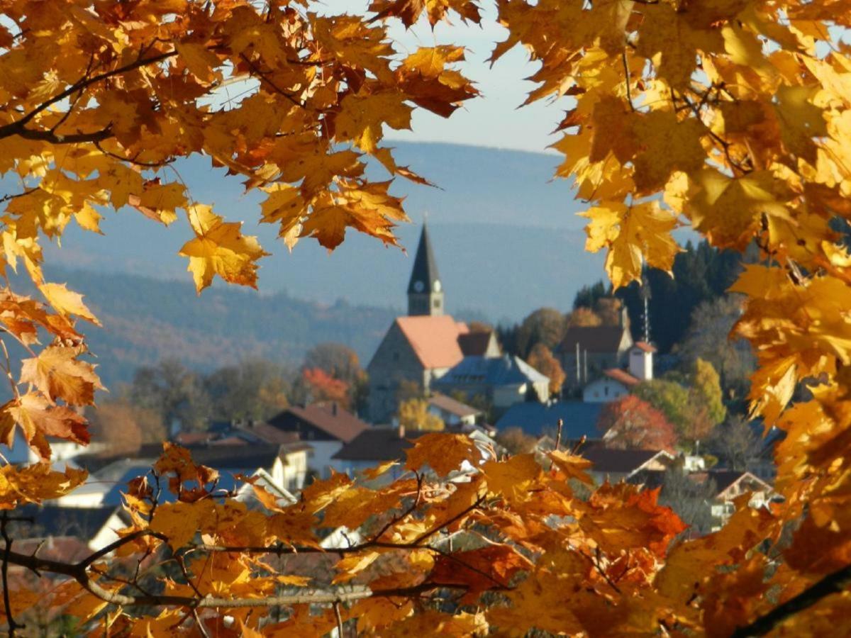 Ferienwohnungen Krieger Mauth Exteriör bild